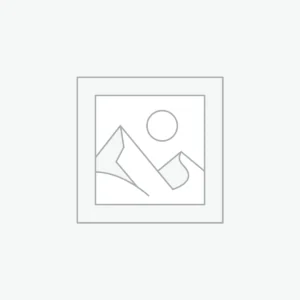 Ventilador IN LINE 100mm – FB/100 DT.06 110V